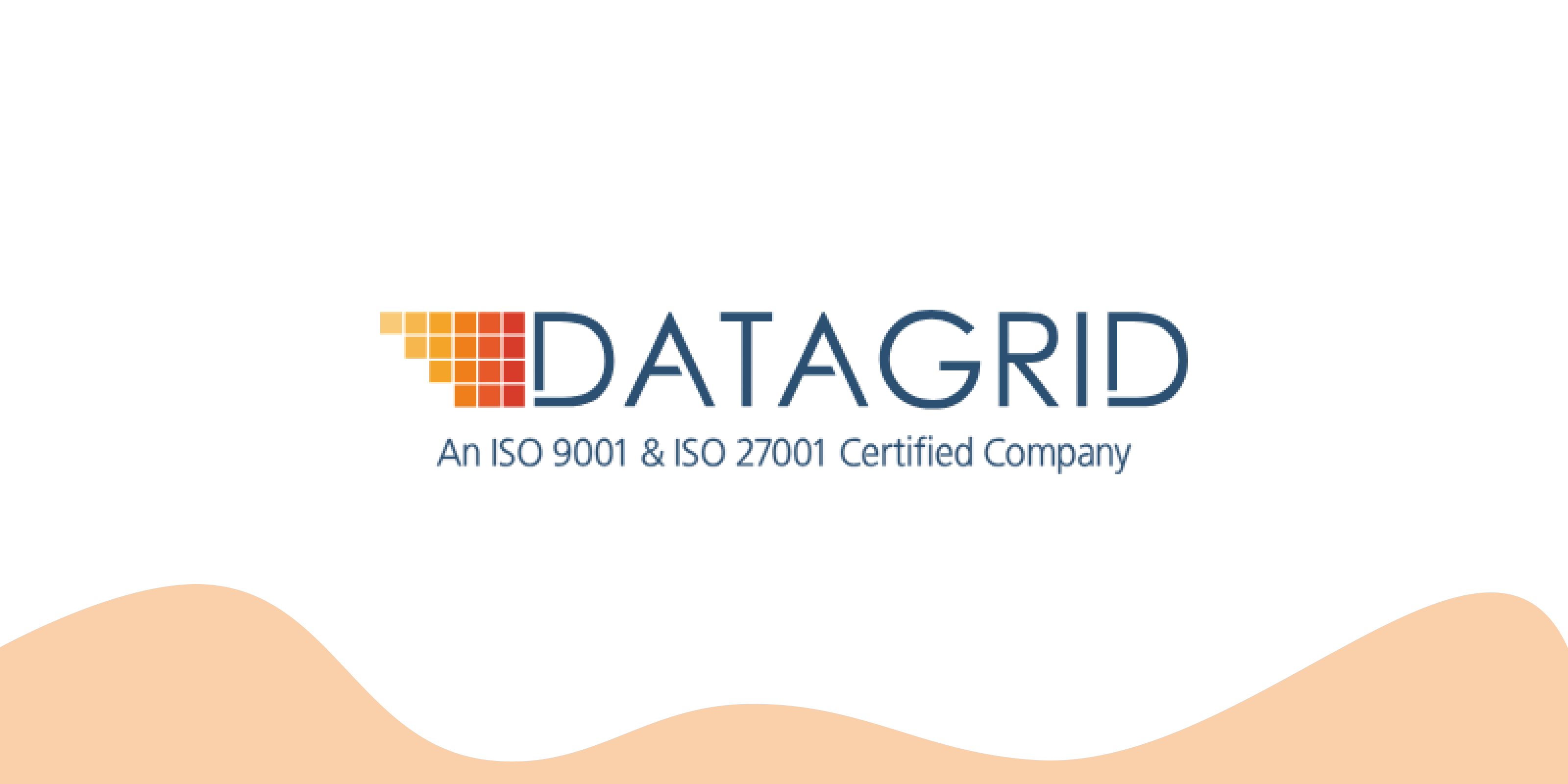 Logo of Datagrid Solutions